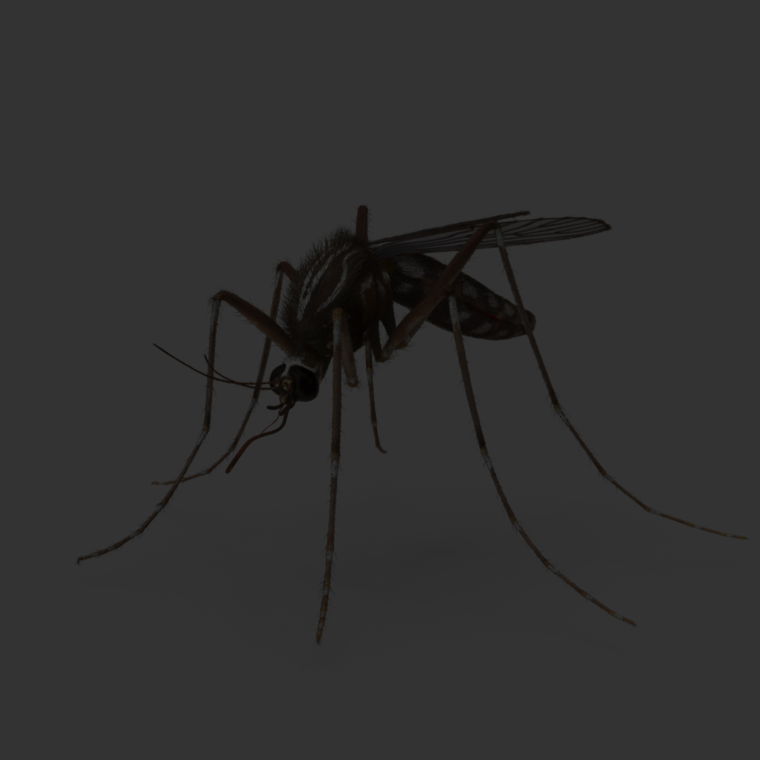 Best Mosquito Pest Control Service in coimbatore